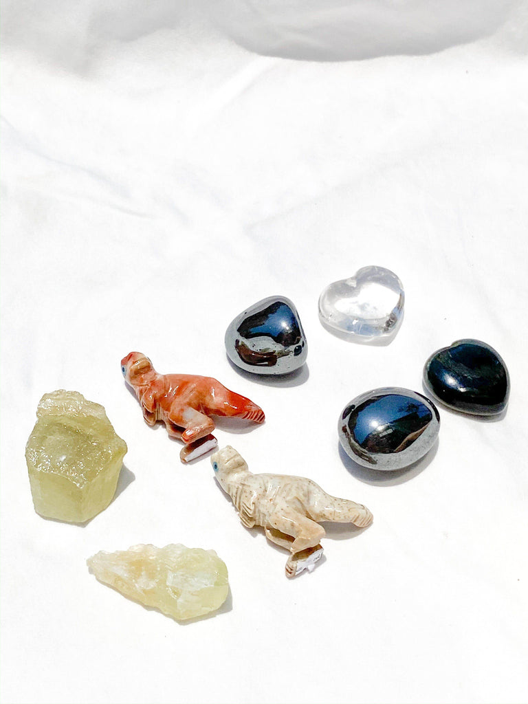 Tiny Human Basics Pouch | T-Rex - Unearthed Crystals