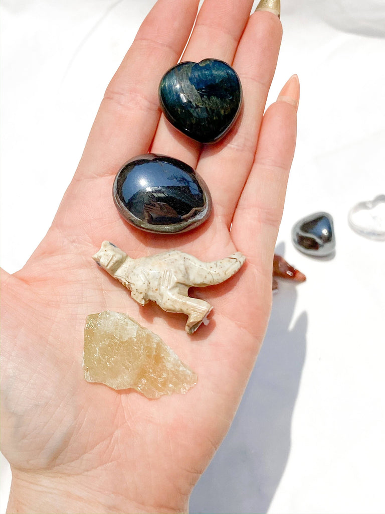 Tiny Human Basics Pouch | T-Rex - Unearthed Crystals