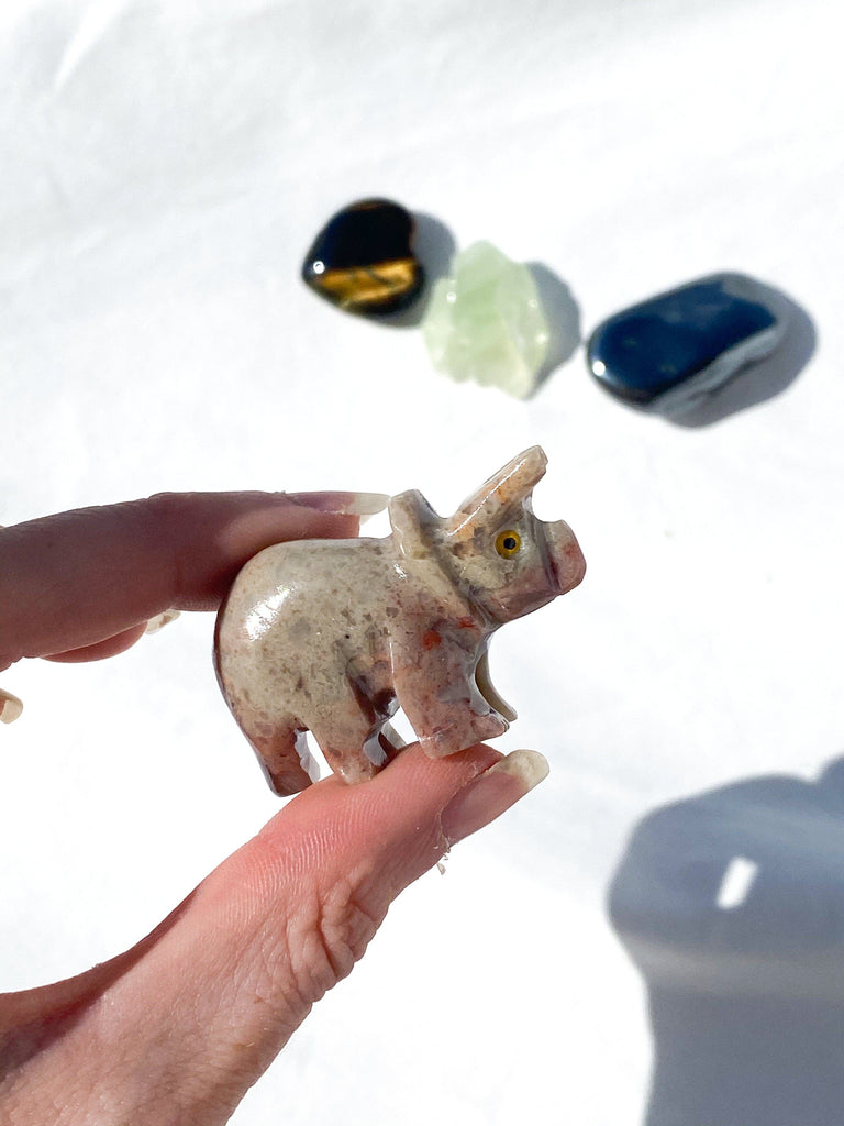 Tiny Human Basics Pouch | Triceratops - Unearthed Crystals
