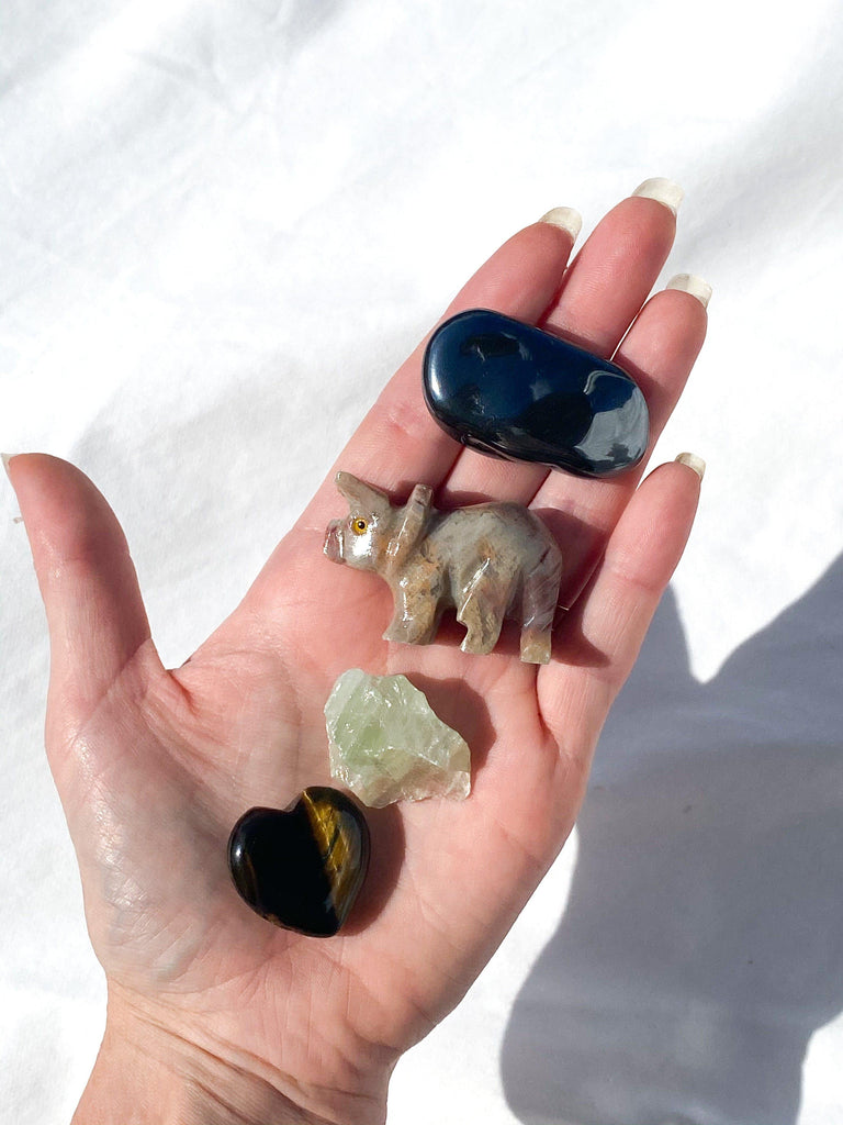 Tiny Human Basics Pouch | Triceratops - Unearthed Crystals