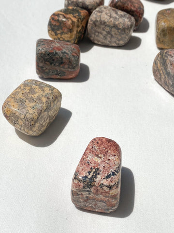 Leopardskin Jasper Freeform | Medium - Unearthed Crystals