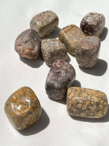 Leopardskin Jasper Freeform | Small - Unearthed Crystals