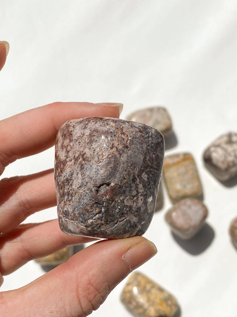 Leopardskin Jasper Freeform | Small - Unearthed Crystals
