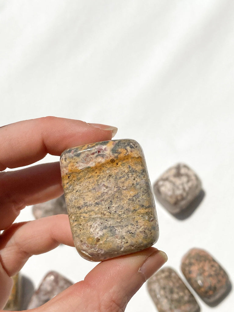 Leopardskin Jasper Freeform | Small - Unearthed Crystals