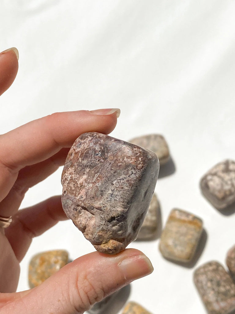 Leopardskin Jasper Freeform | Small - Unearthed Crystals