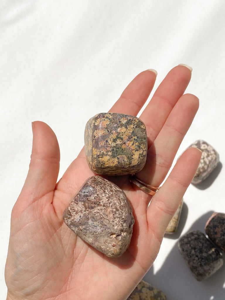 Leopardskin Jasper Freeform | Small - Unearthed Crystals