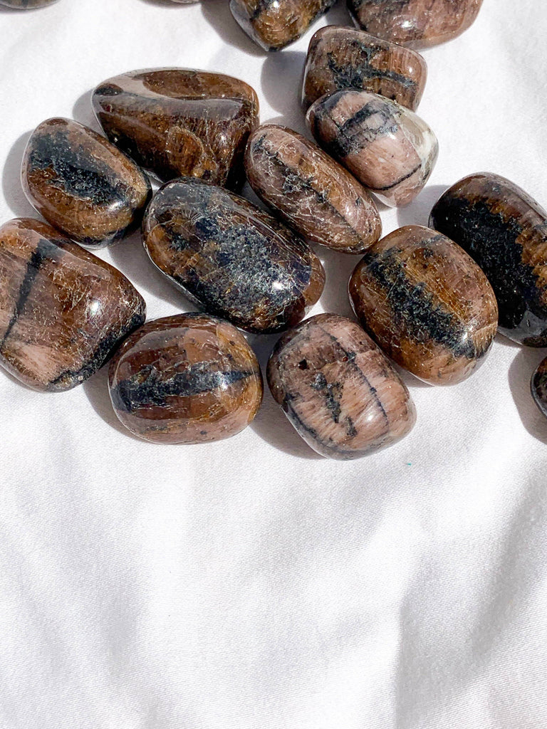 Chiastolite Tumble | Small - Unearthed Crystals