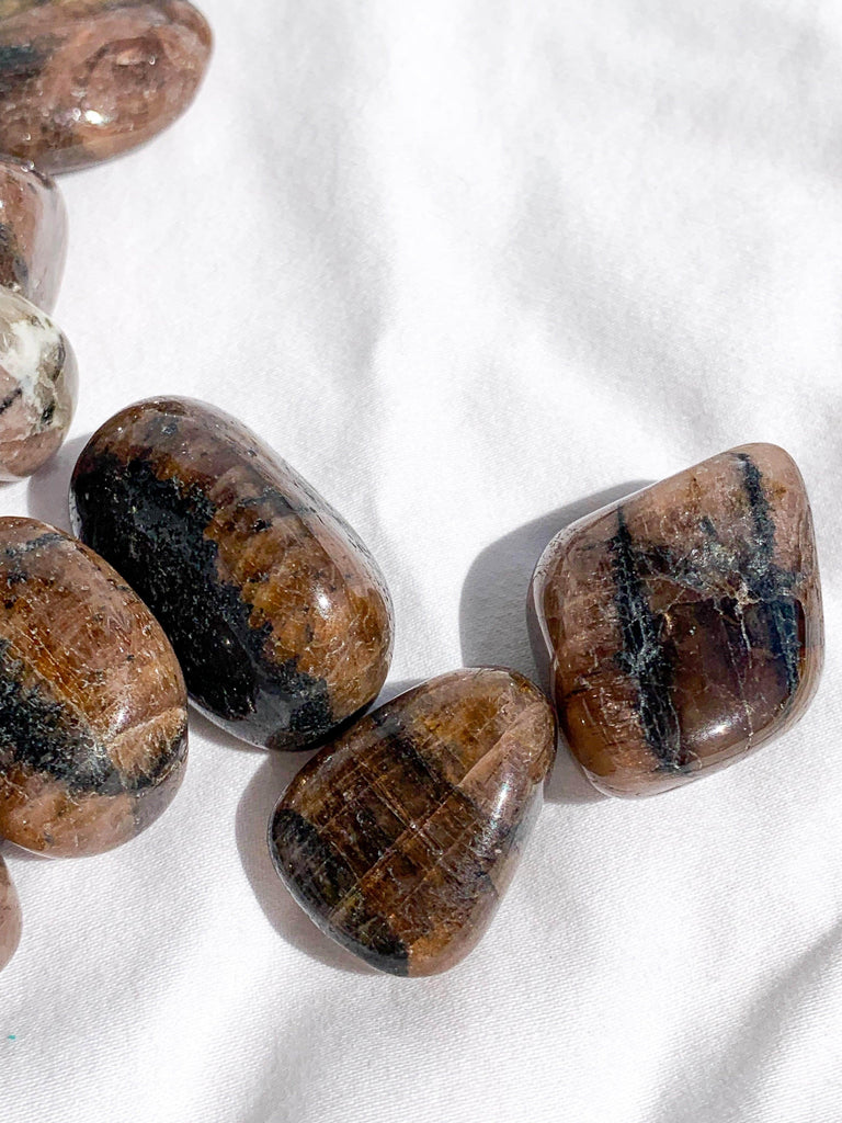 Chiastolite Tumble | Small - Unearthed Crystals