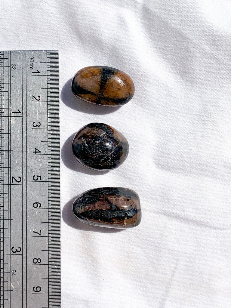 Chiastolite Tumble | Small - Unearthed Crystals