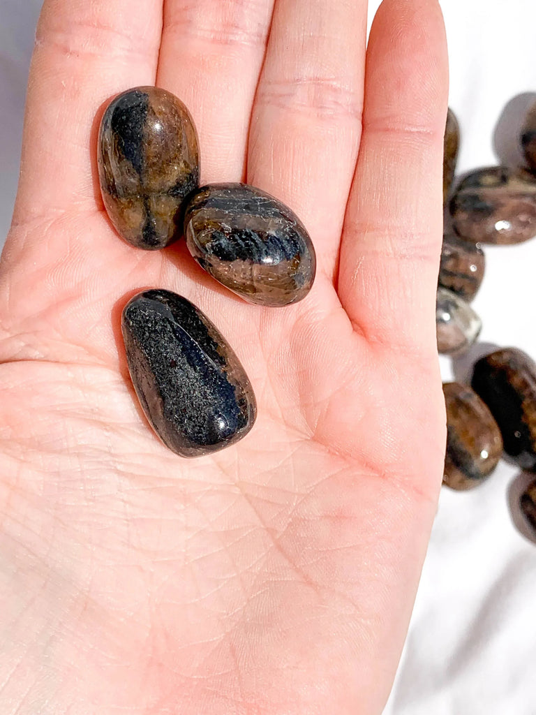 Chiastolite Tumble | Small - Unearthed Crystals