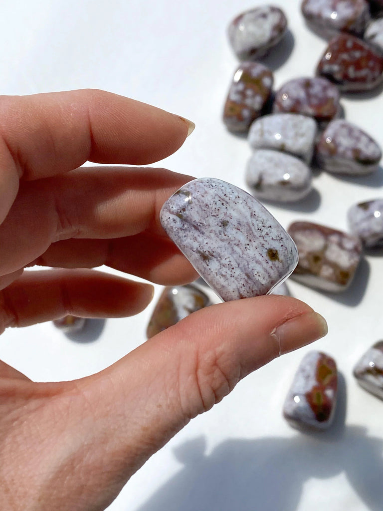 Poppy Jasper Tumble | Medium - Unearthed Crystals