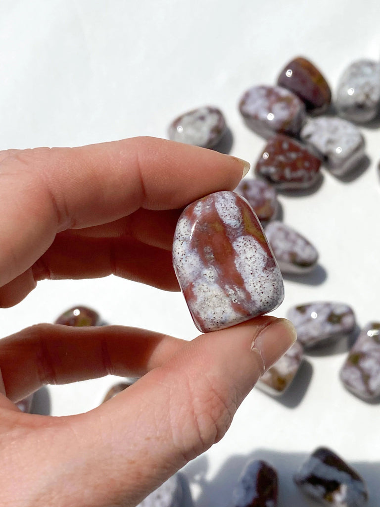 Poppy Jasper Tumble | Medium - Unearthed Crystals