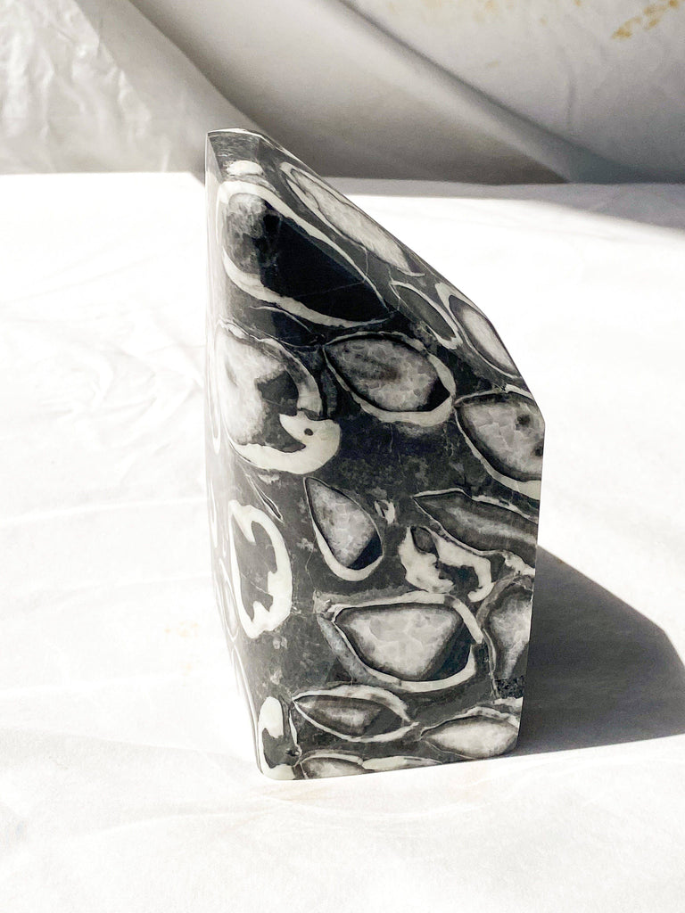 Thousand Eye Jasper Standing Freeform - Unearthed Crystals