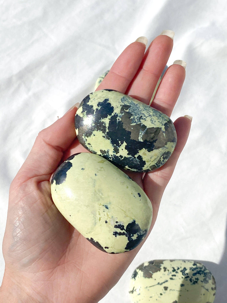 Serpentine + Pyrite Palm Stone | Large - Unearthed Crystals