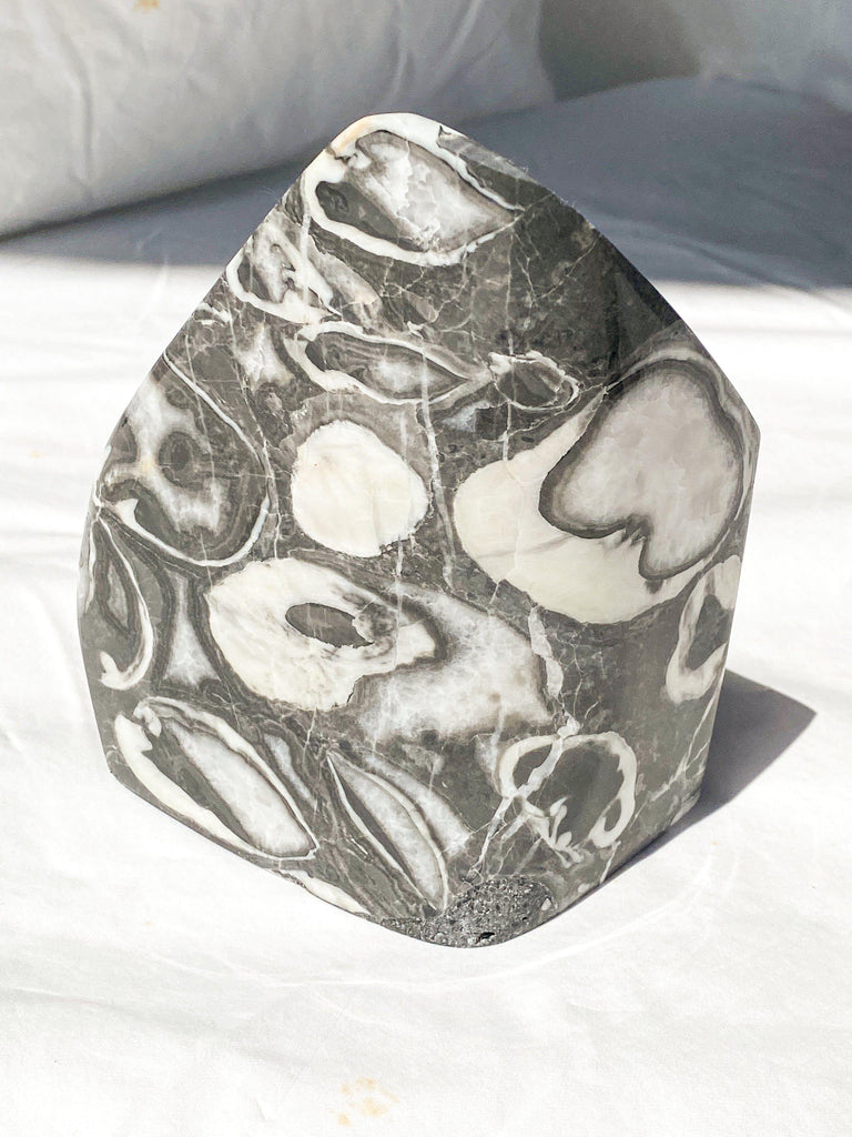 Thousand Eye Jasper Standing Freeform - Unearthed Crystals