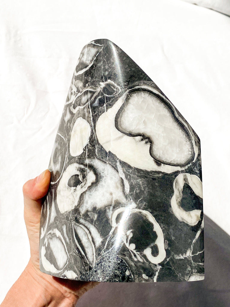 Thousand Eye Jasper Standing Freeform - Unearthed Crystals
