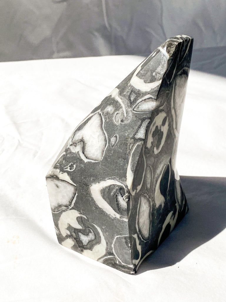Thousand Eye Jasper Standing Freeform - Unearthed Crystals