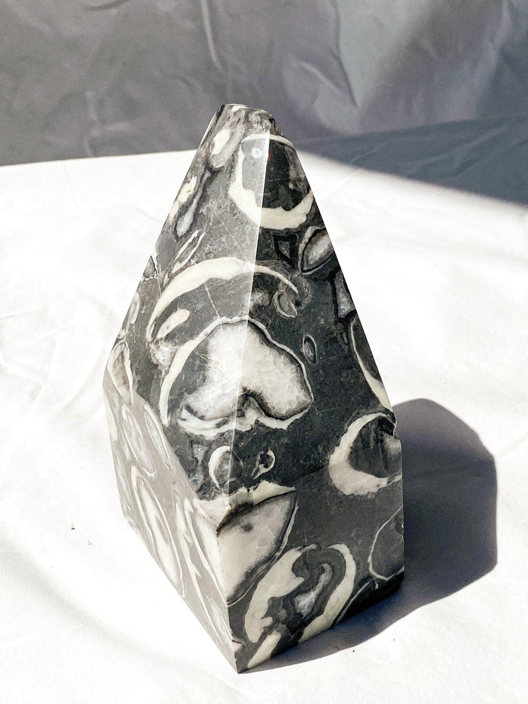 Thousand Eye Jasper Standing Freeform - Unearthed Crystals