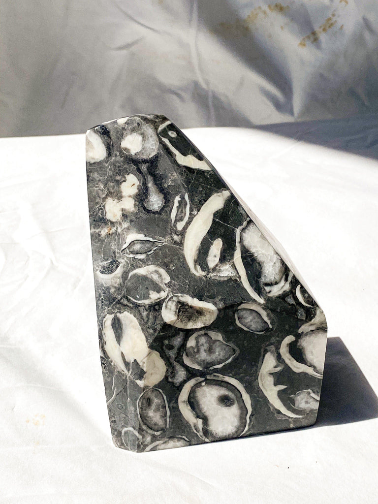 Thousand Eye Jasper Standing Freeform - Unearthed Crystals