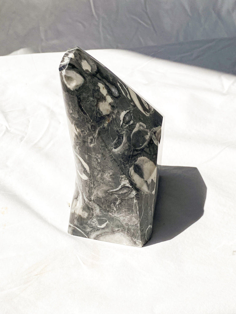 Thousand Eye Jasper Standing Freeform - Unearthed Crystals