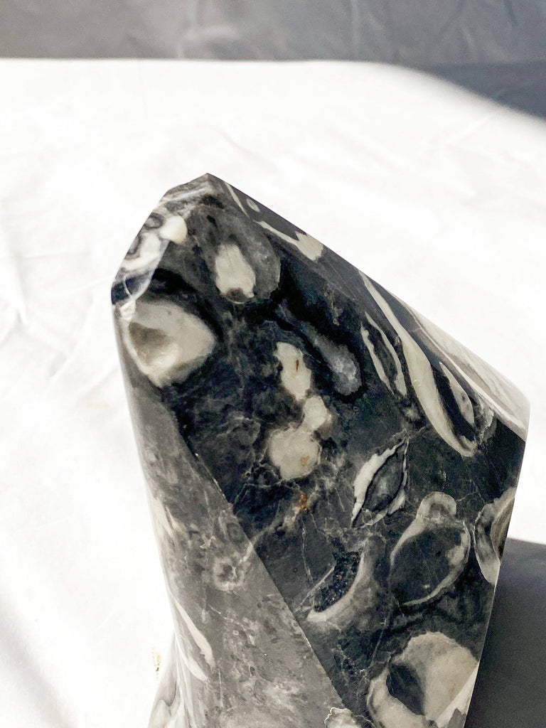 Thousand Eye Jasper Standing Freeform - Unearthed Crystals