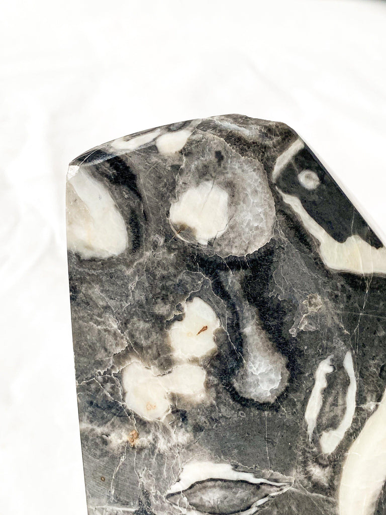 Thousand Eye Jasper Standing Freeform - Unearthed Crystals