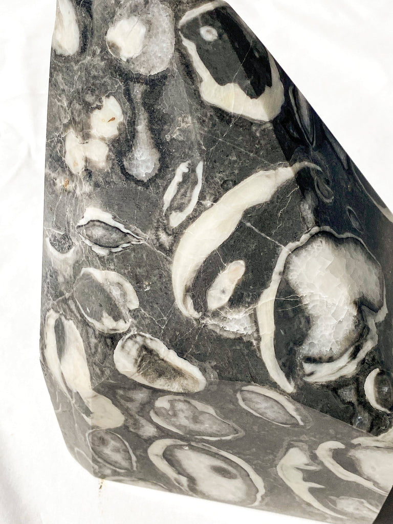 Thousand Eye Jasper Standing Freeform - Unearthed Crystals