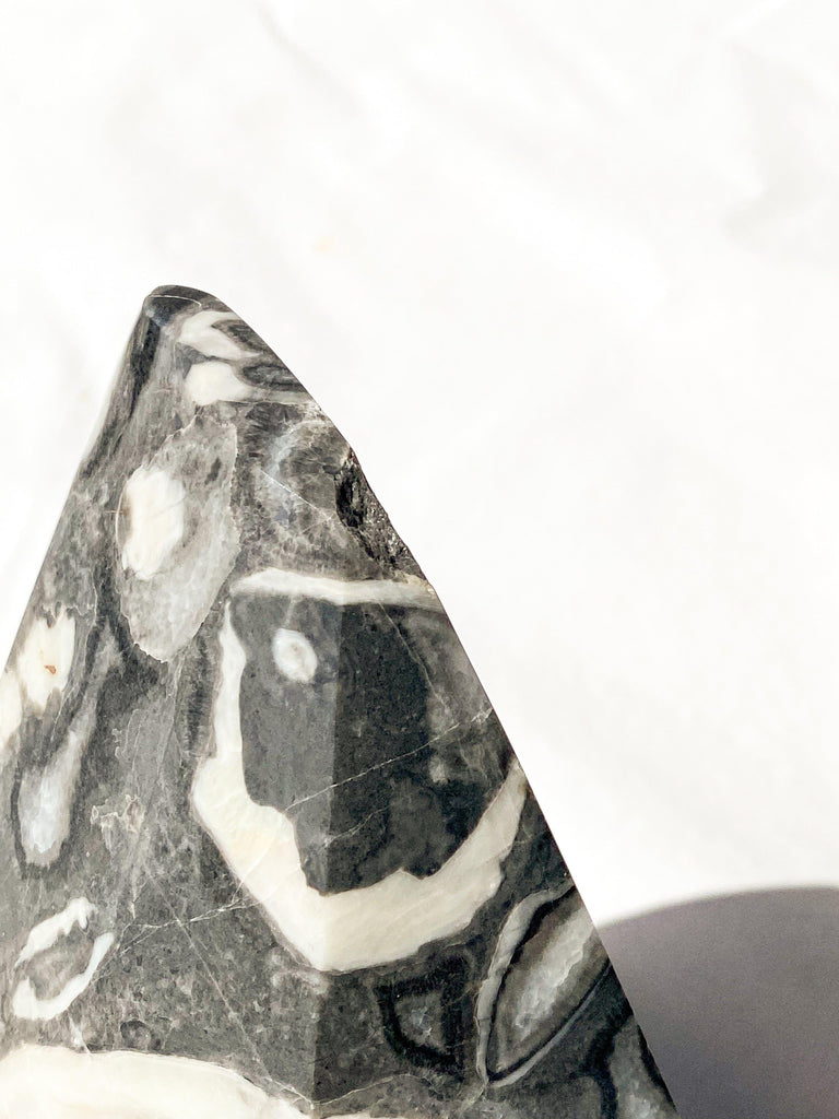Thousand Eye Jasper Standing Freeform - Unearthed Crystals