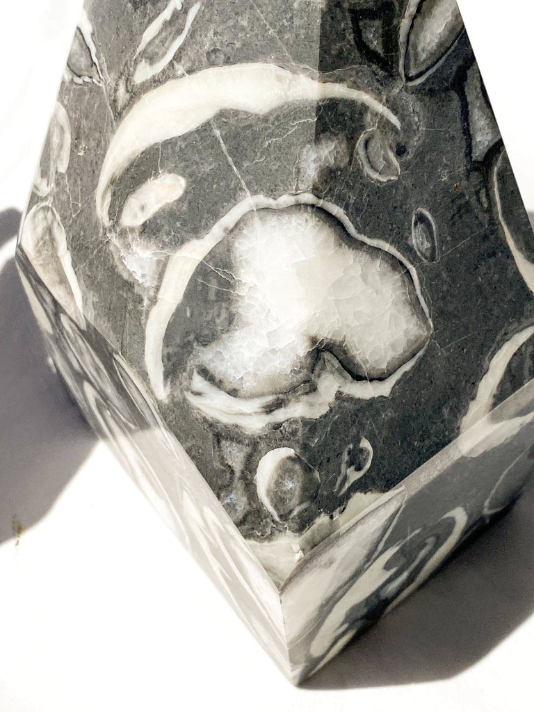 Thousand Eye Jasper Standing Freeform - Unearthed Crystals