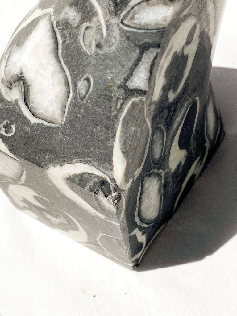 Thousand Eye Jasper Standing Freeform - Unearthed Crystals