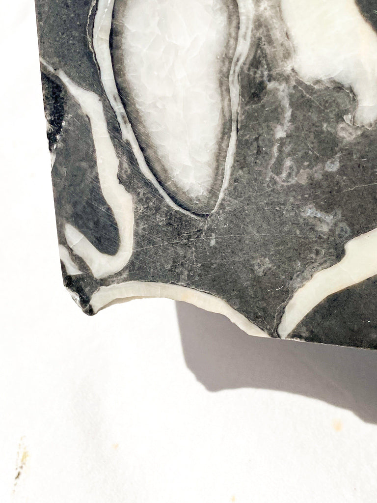 Thousand Eye Jasper Standing Freeform - Unearthed Crystals