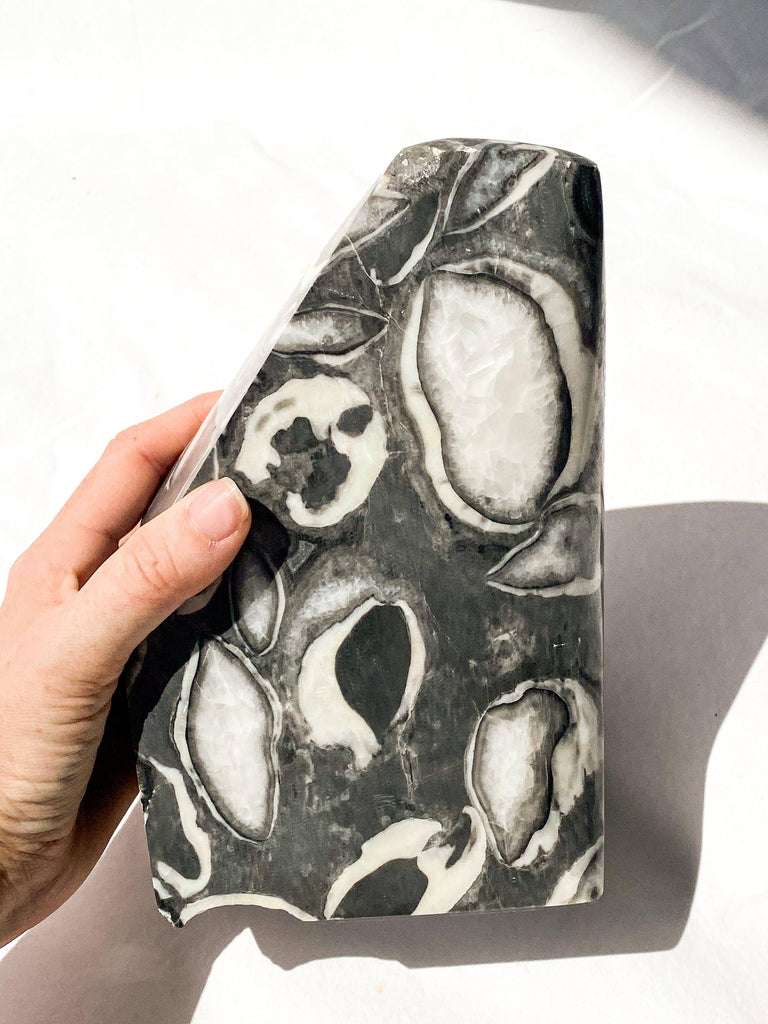 Thousand Eye Jasper Standing Freeform - Unearthed Crystals