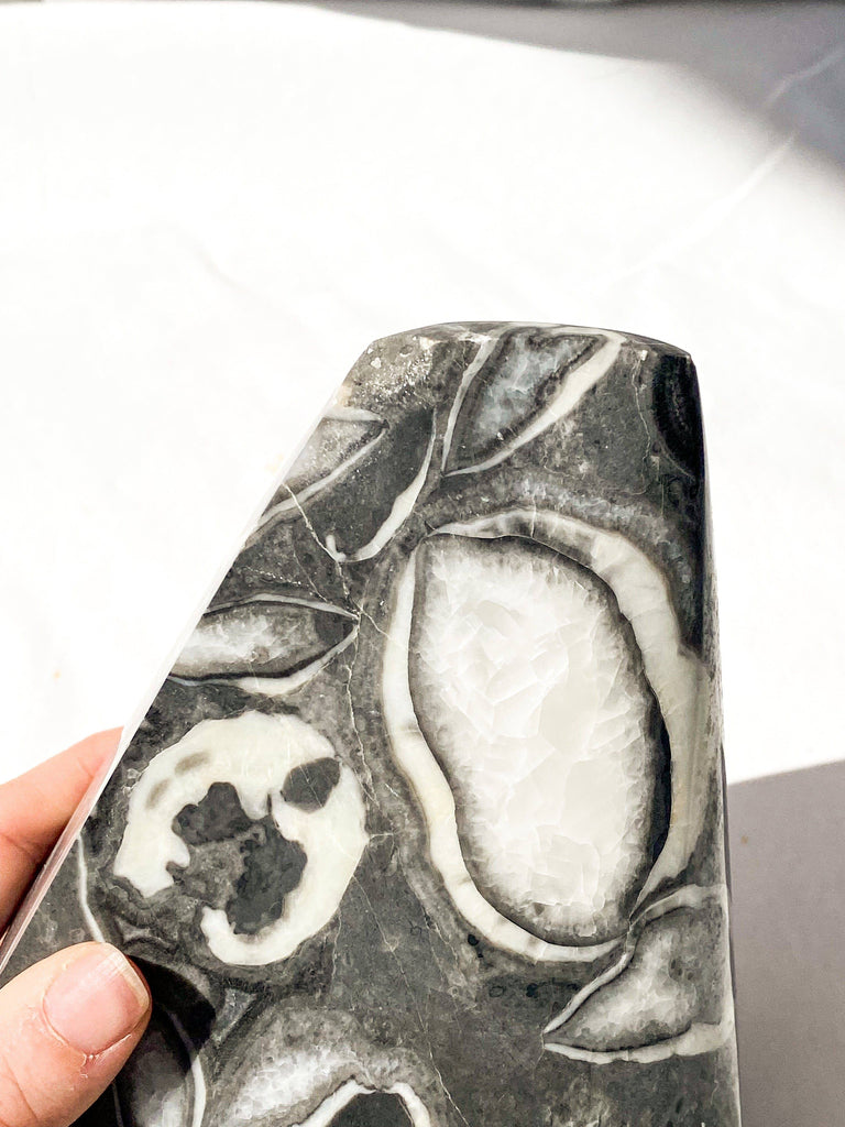 Thousand Eye Jasper Standing Freeform - Unearthed Crystals