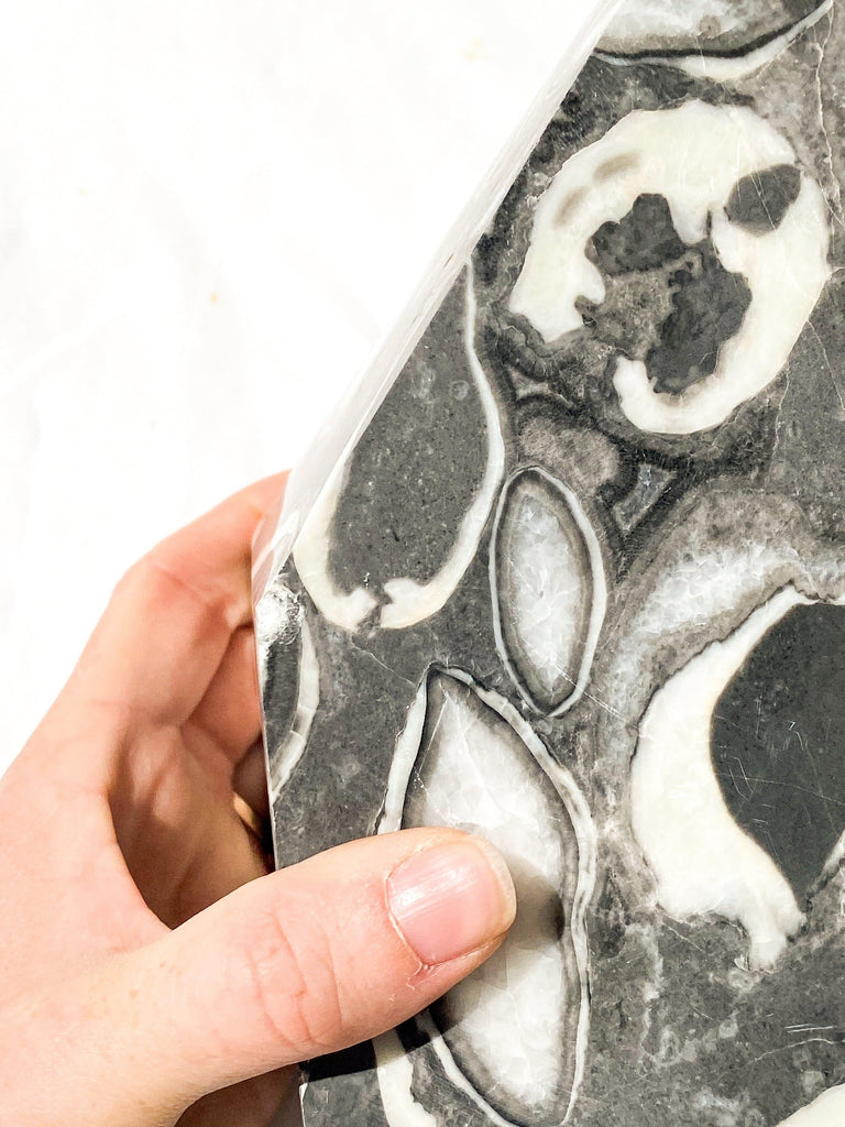 Thousand Eye Jasper Standing Freeform - Unearthed Crystals