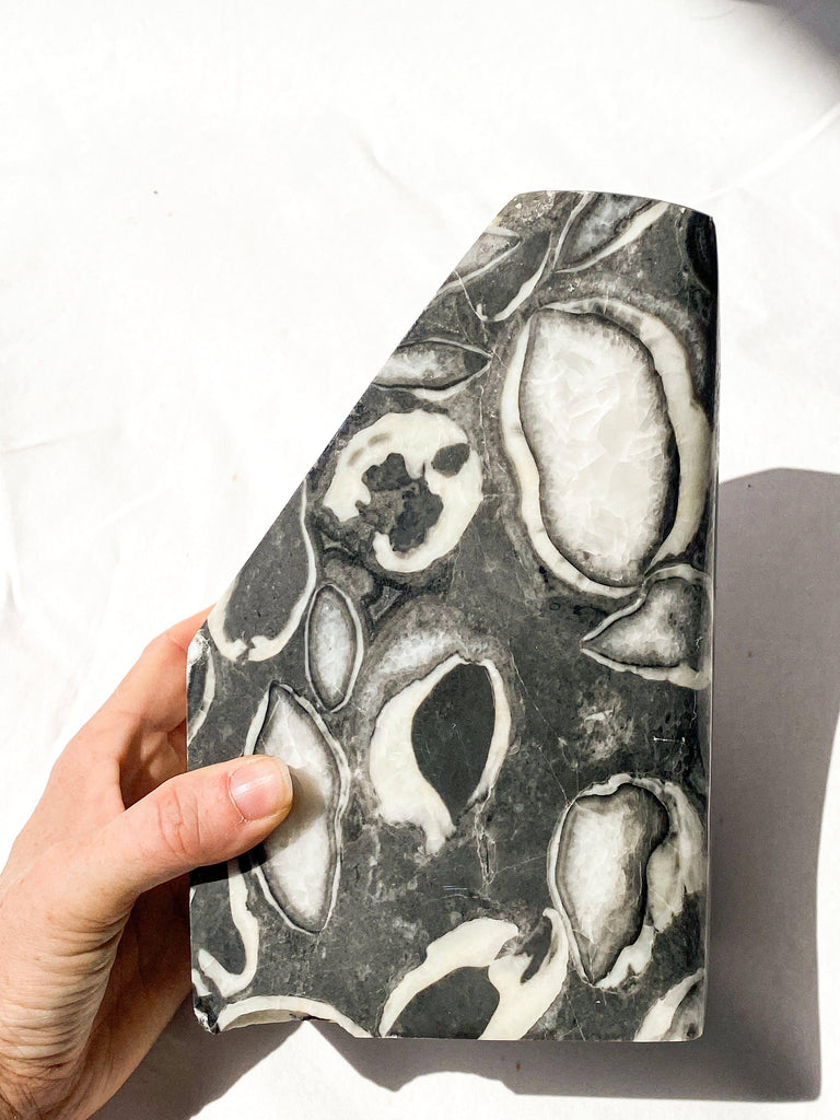 Thousand Eye Jasper Standing Freeform - Unearthed Crystals