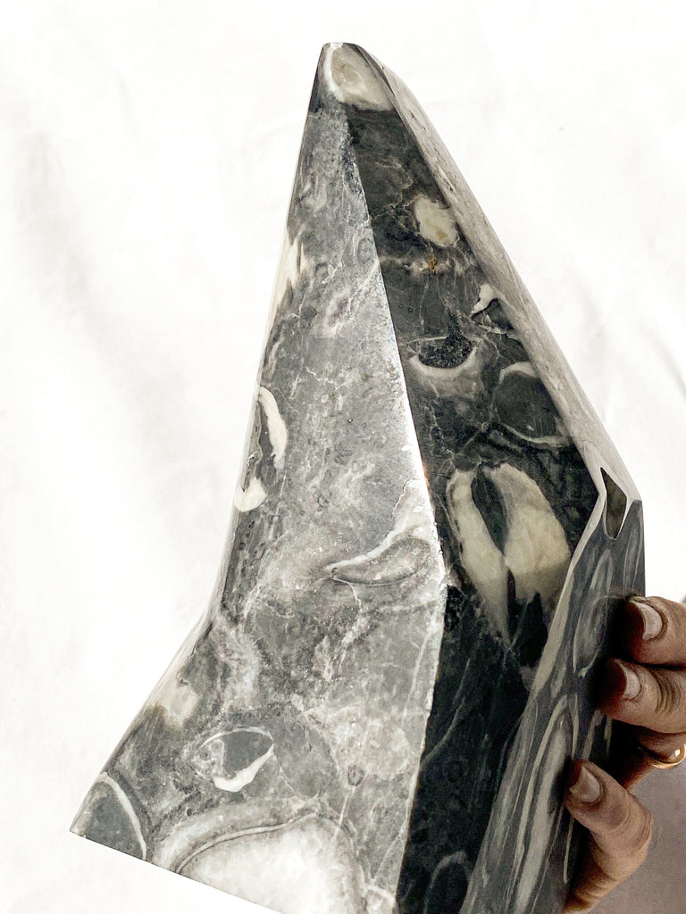 Thousand Eye Jasper Standing Freeform - Unearthed Crystals
