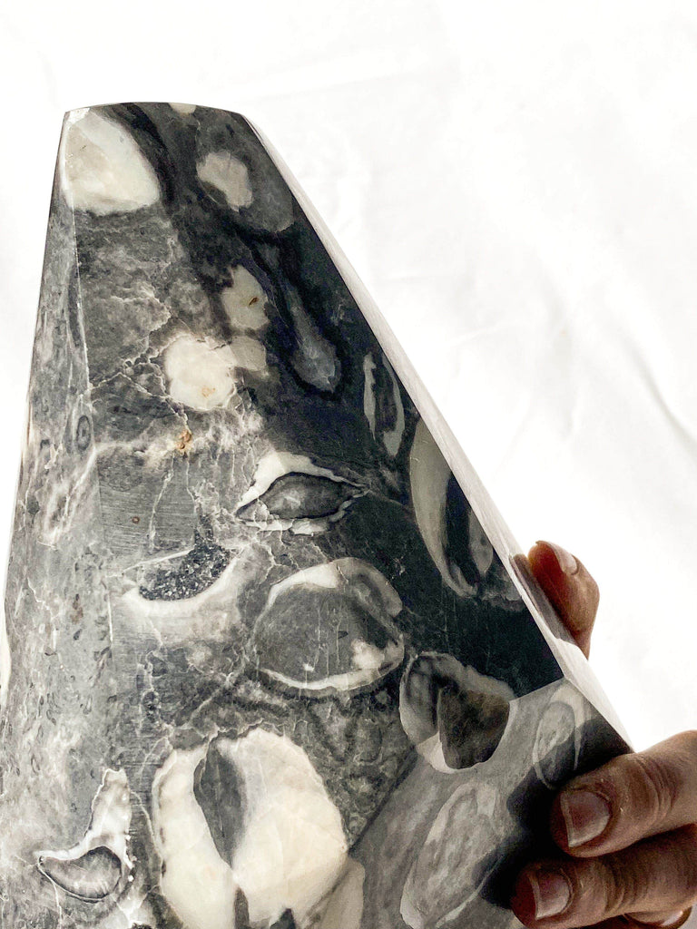 Thousand Eye Jasper Standing Freeform - Unearthed Crystals