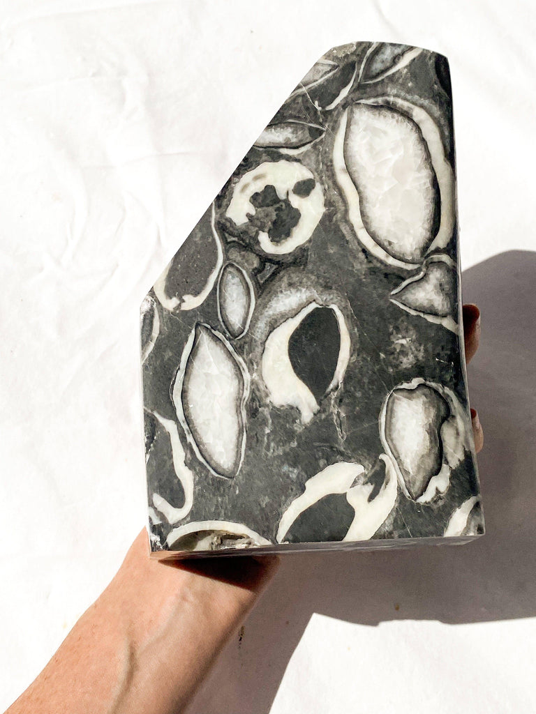 Thousand Eye Jasper Standing Freeform - Unearthed Crystals