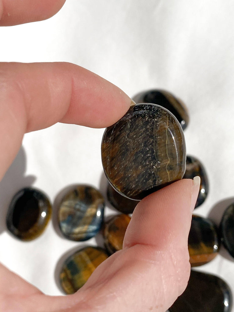 Hawk's Eye Coin - Unearthed Crystals