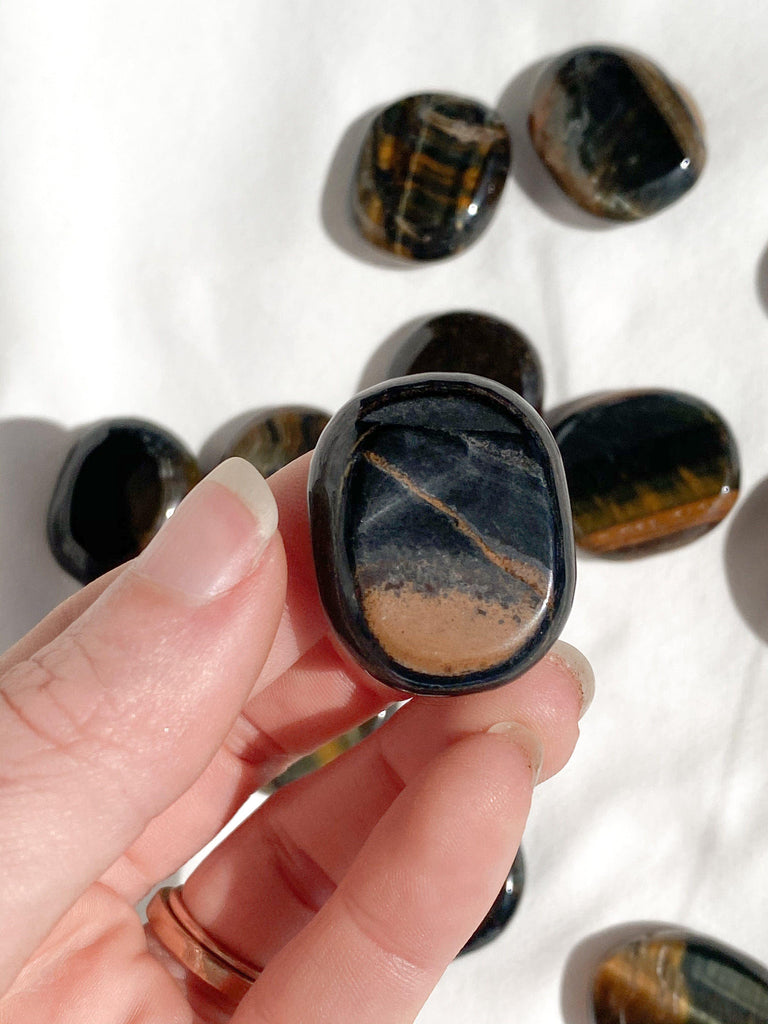 Hawk's Eye Coin - Unearthed Crystals