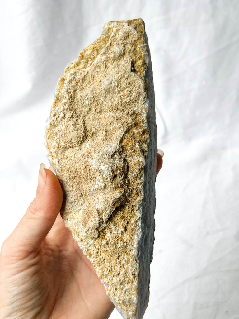 Blue Lace Agate Rough - Unearthed Crystals