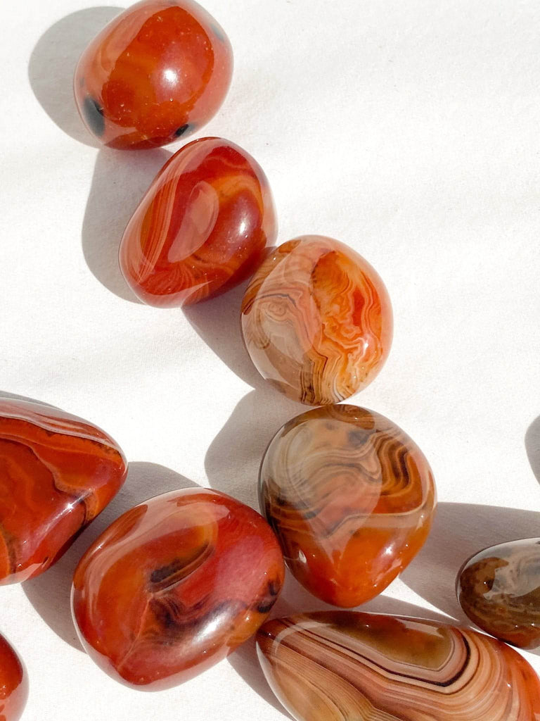Sardonyx Palm Stone | Extra Small - Unearthed Crystals