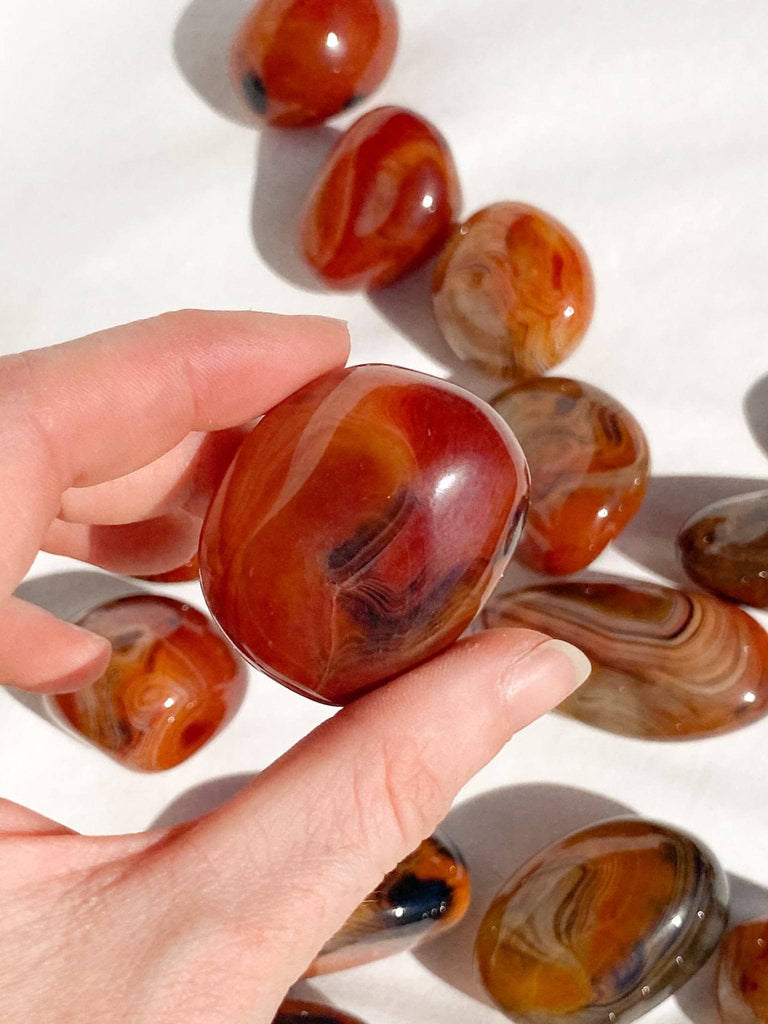 Sardonyx Palm Stone | Extra Small - Unearthed Crystals
