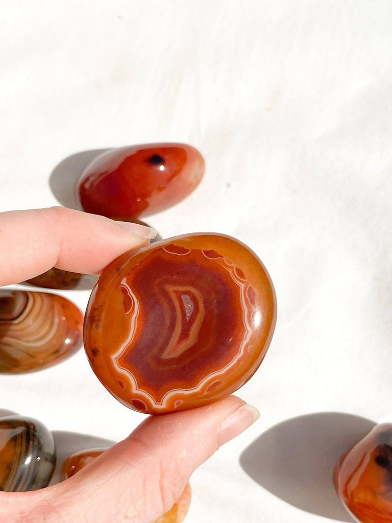 Sardonyx Palm Stone | Extra Small - Unearthed Crystals