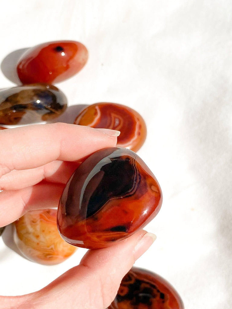 Sardonyx Palm Stone | Extra Small - Unearthed Crystals