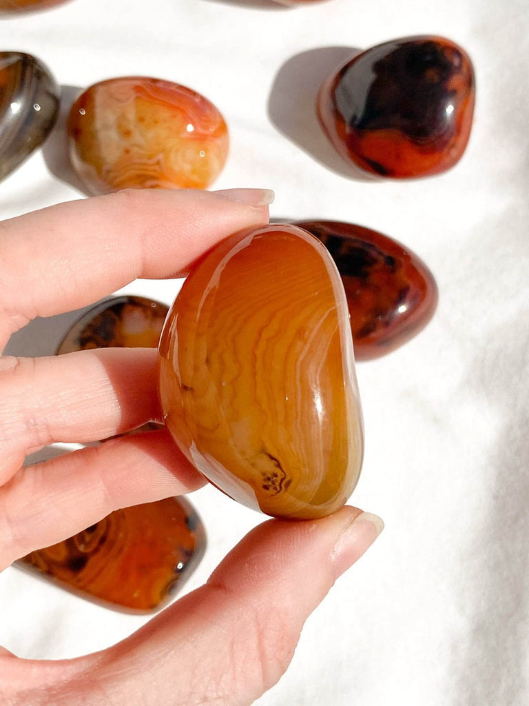 Sardonyx Palm Stone | Extra Small - Unearthed Crystals