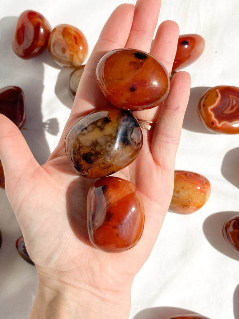 Sardonyx Palm Stone | Extra Small - Unearthed Crystals
