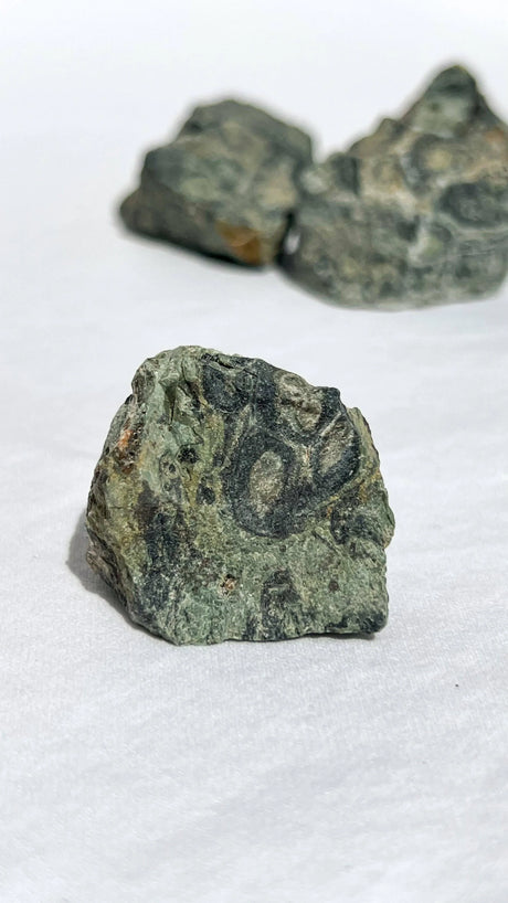 Kambaba Jasper Rough | Small - Unearthed Crystals