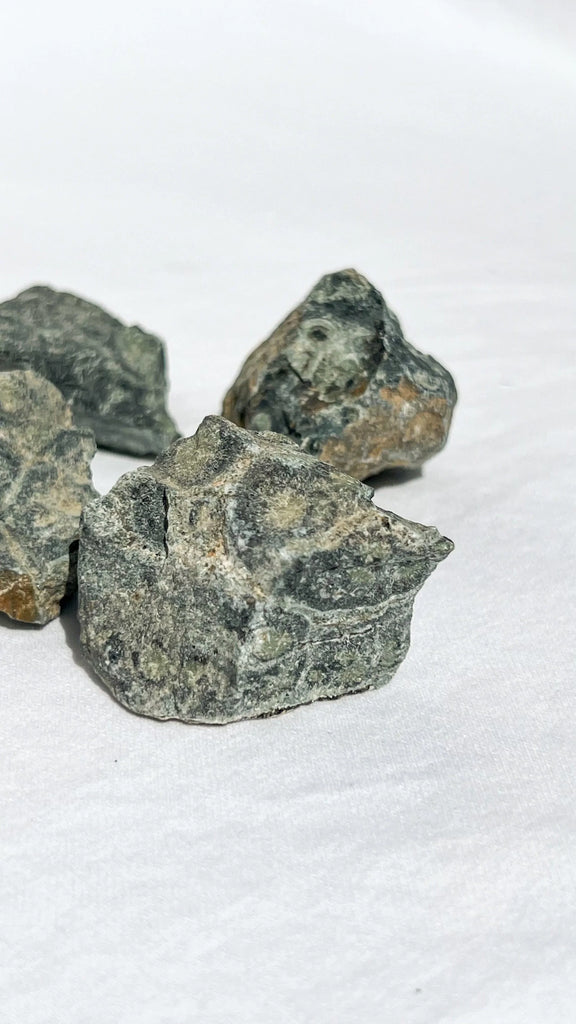 Kambaba Jasper Rough | Small - Unearthed Crystals