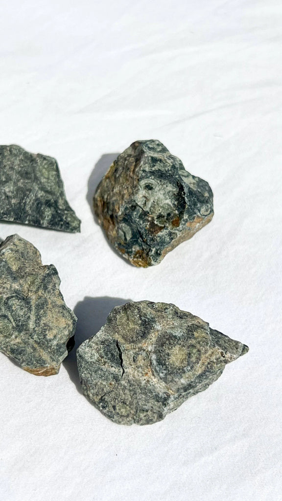 Kambaba Jasper Rough | Small - Unearthed Crystals